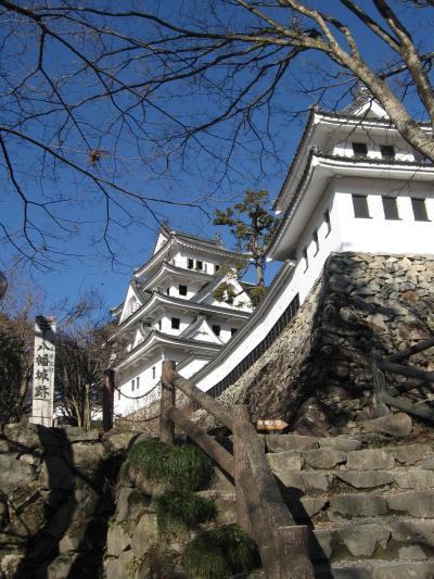 長良川上流の城「郡上八幡城」