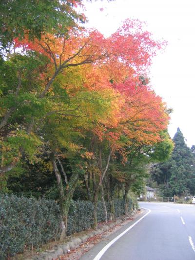 足柄峠を越える旅