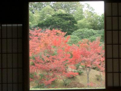 桂離宮の秋は紅と白の対照