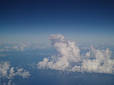 動物とのハグ☆ゴールドコースト！（その3）