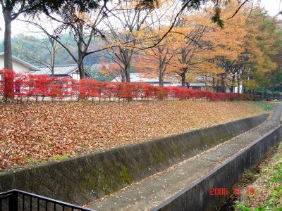 2006.11栗田美術館庭園の紅葉