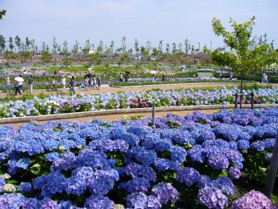 花の色は移りにけりな