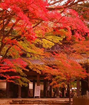 錦秋の滋賀・京都