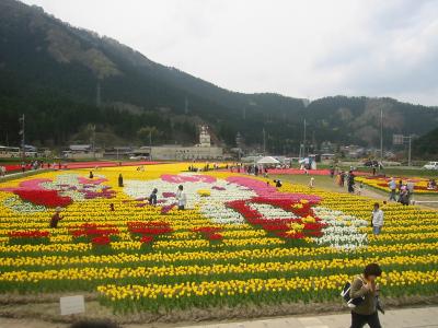 但東町チューリップ祭り２００５