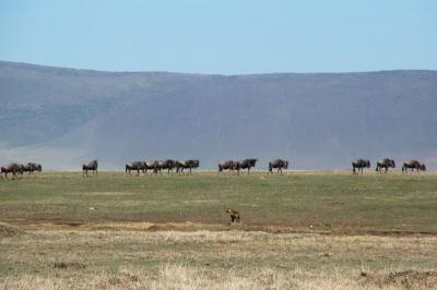 Ngorongoro Conservation Area