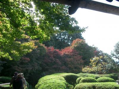 大山崎で秋と絵をたのしむ