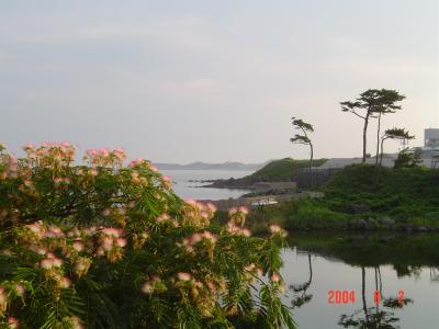 細道探訪?　象潟や雨に西施がねぶの花