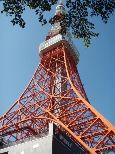 初めての東京観光