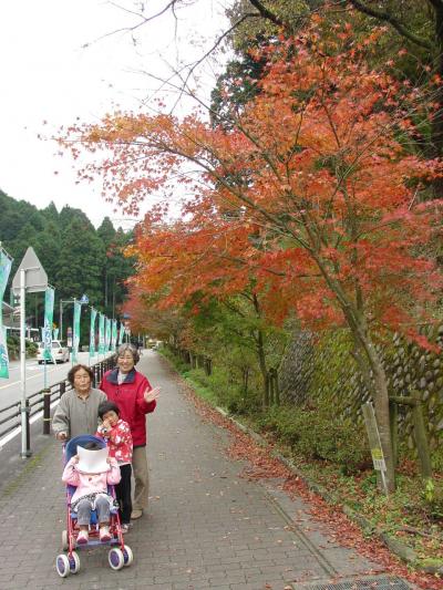 くらがり渓谷で紅葉兼ねてマス釣りの情報収集