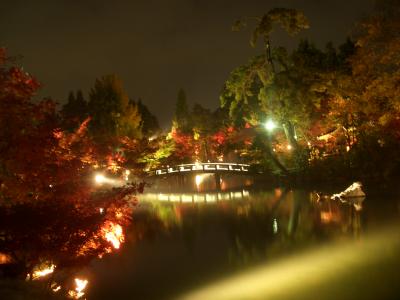 永観堂 もみじライトアップ