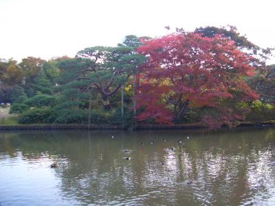 ◆２００６年１１月◆東京都～六義園～◆