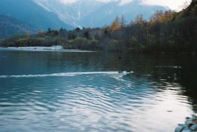 上高地散策　10月29日