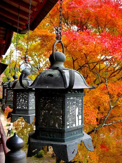 紅葉の談山神社・長谷寺へ！