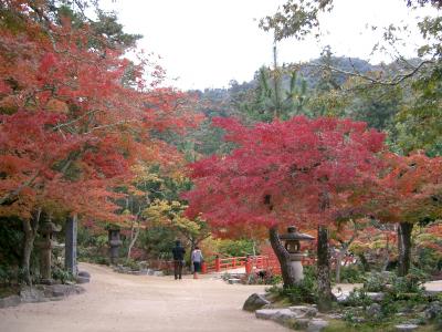 紅葉の宮島へ行きました