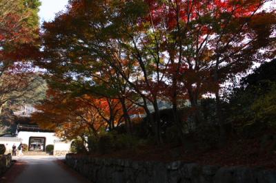 宇治 興聖寺