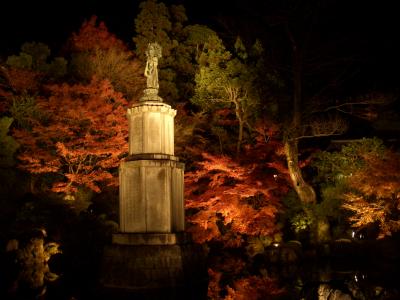 知恩院・青蓮院門跡の紅葉ライトアップ