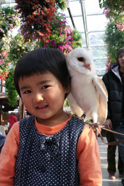 03　掛川花鳥園　後半戦