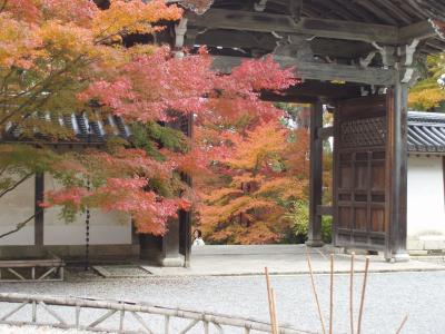 学生時代の友人と共に。