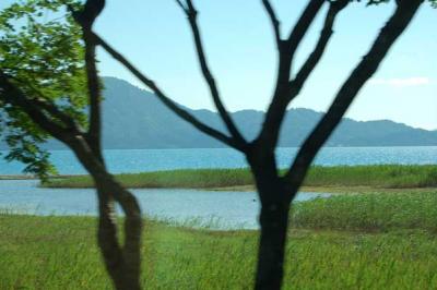 こんな色見たことないよー。(^o^)