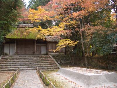 真如堂・法然院 2006年紅葉終わり