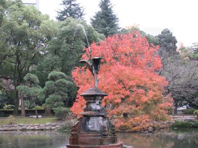 晩秋に彩られた東京の風景その?鶴の噴水の池の紅葉