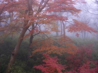 紅葉と美術館　はじめての箱根―2006箱根