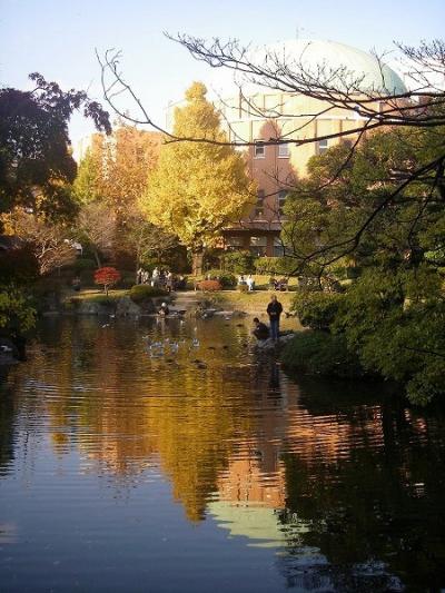 旧安田邸庭園