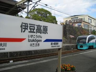 伊豆高原