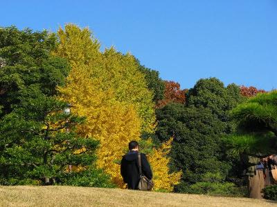 師走深川散歩　清澄庭園ー?