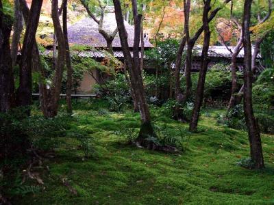 祇王子・・・嵯峨野