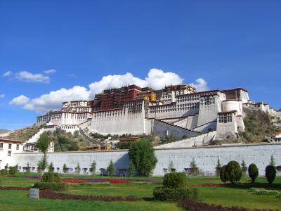 念願のチベットエリア