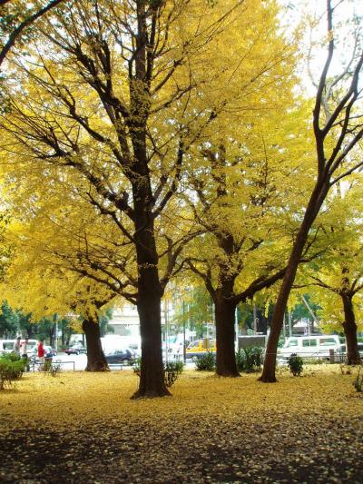 紅葉を探して　芝公園