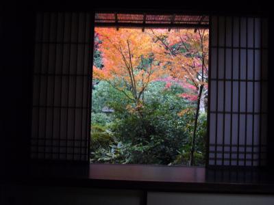 洛北の京の紅葉２００６