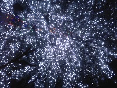 2006冬 なばなの里イルミネーション