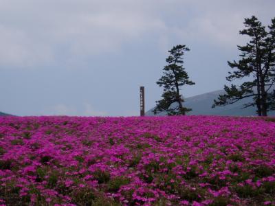 阿蘇・九重旅行