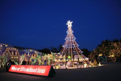 ウインターイルミネーション備北丘陵公園