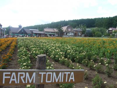 サブゼミ夏合宿 in北海道３