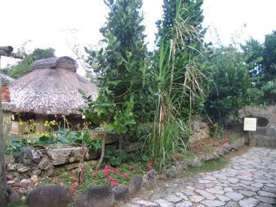 人生初のBirthday trip in 沖縄 vol.1 那覇～恩名村編