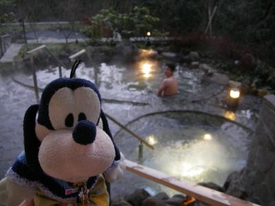 グーちゃん、箱根で露店風呂に入る！！