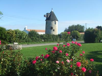 Honeymoon  vol.2 ～Noirmoutier, France～