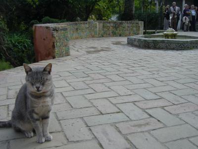 ☆スペイン☆歩くの大好き!-2006冬?-