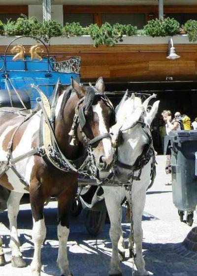 片瀬貴文のスイス写真集【628】街を元気づける馬車