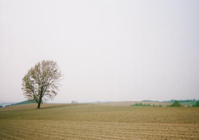 ２００３春　北海道・美瑛の旅