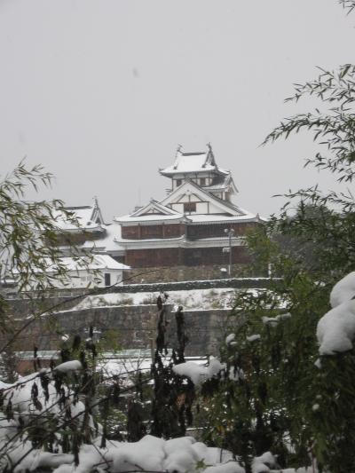 「福知山城」も寒波で震えてる