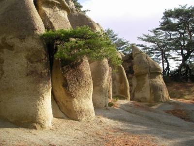 冬の【陸の松島】→【須賀川・おとぎの宿米屋】→そして、【東山温泉・原瀧】へ