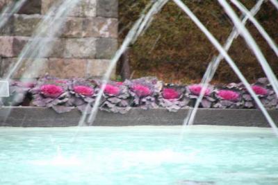 強羅公園～その２～