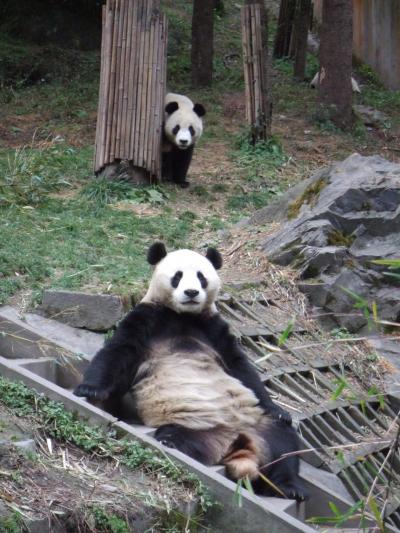 ｐａｎｄａｆｕｌ CHINA