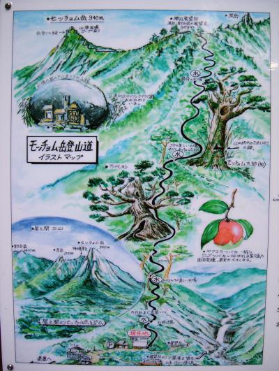 屋久島　～ﾓｯﾁｮﾑ岳～　2007.1月