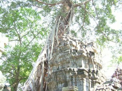 2007.1【ｶﾝﾎﾞｼﾞｱ2】