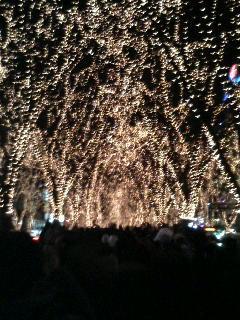 仙台　光のページェント